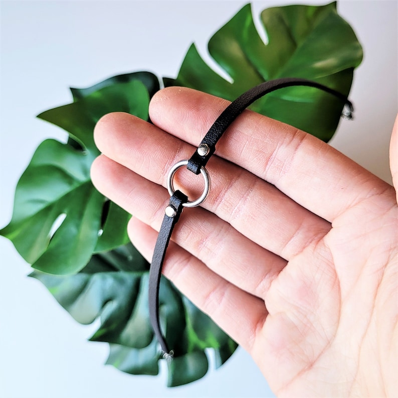May include: A black leather choker necklace with a silver ring accent. The choker is adjustable and has a simple design.