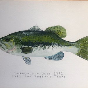 カスタム魚の絵画、釣りトロフィーの絵画、