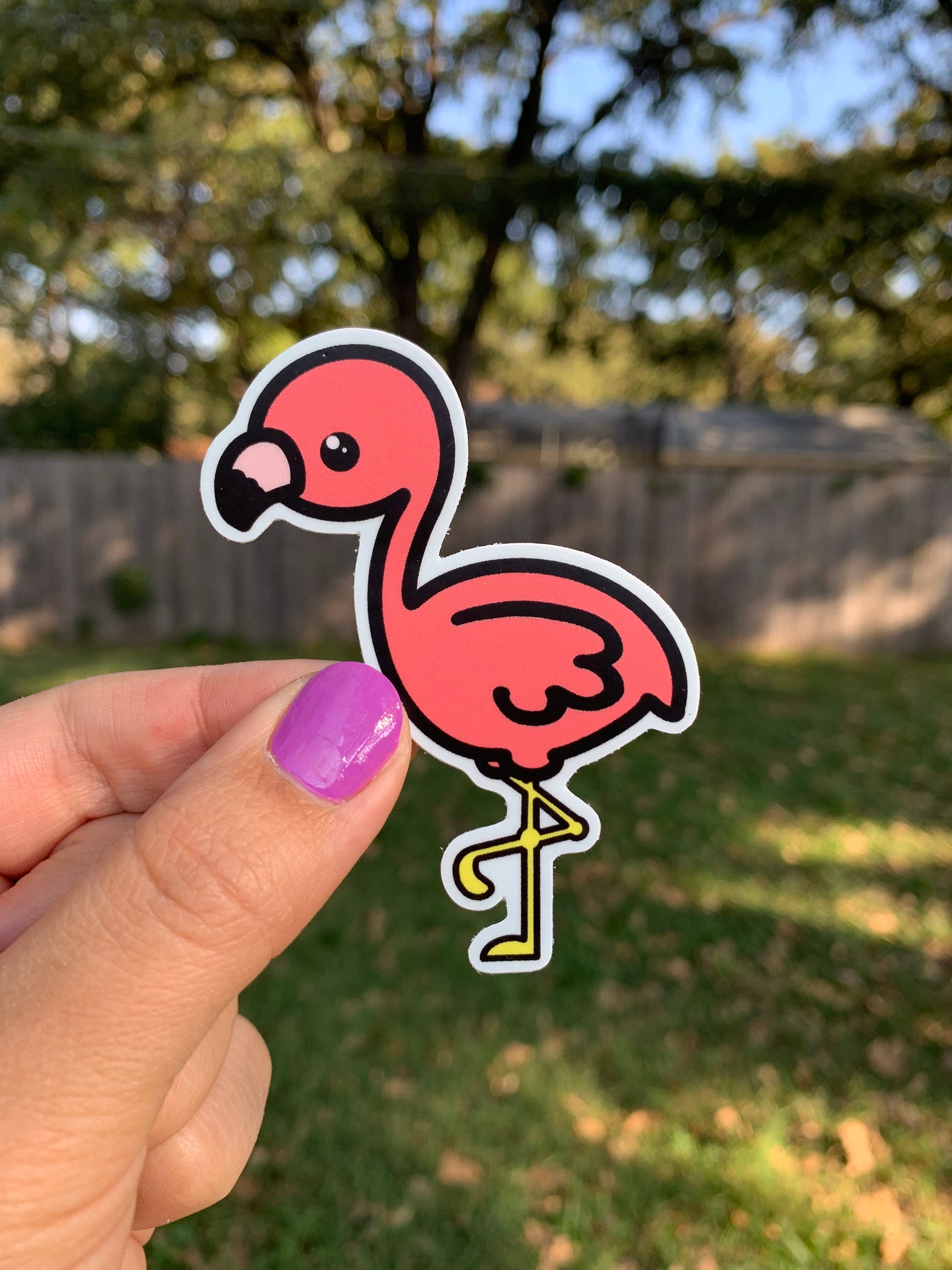 Flamingo -