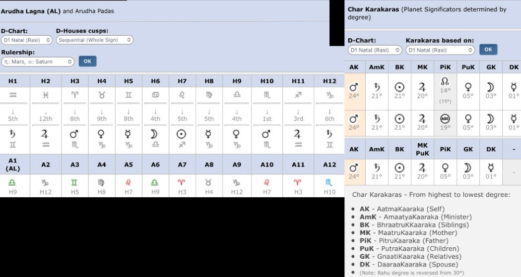 Sidereal Astrology Vedic Birth Chart Etsy
