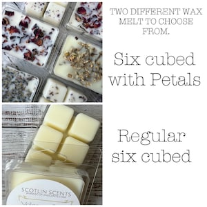 May include: Two different wax melts, one with six cubed wax melts with flower petals and one with six plain cubed wax melts. The wax melts are in clear plastic containers. The text on the container reads "SCOTLIN SCENTS WWW.SCOTLINSCENTS.COM".