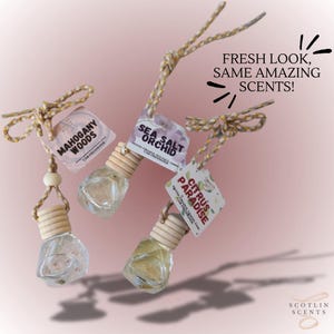 Car Diffuser  | Car Fragrance | Car hanging | New Driver | Car Freshies | diamond bottle