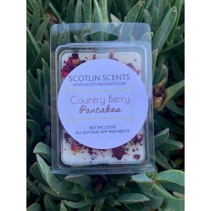 Summer holiday memories wax melts Summer holiday memories wax melts