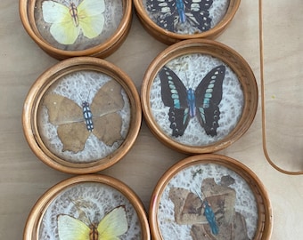 Könnte beinhalten: Sechs runde Untersetzer mit Schmetterlingsmotiven. Jeder Untersetzer zeigt einen anderen Schmetterling, der in einem transparenten, kreisförmigen Rahmen mit einem natürlichen Holzrand eingeschlossen ist. Die Schmetterlinge variieren in der Farbe, darunter Gelb, Schwarz und Braun.
