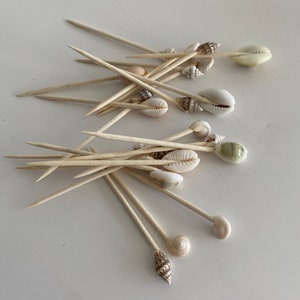 Puede incluir: Un grupo de pinchos de madera con diferentes conchas marinas unidas a los extremos. Las conchas son de color blanco, marrón y verde.