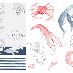Seafood Graphics, Watercolor Clipart, PNG Files, 300 Dpi, Marine ...