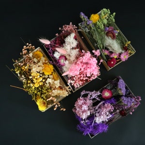 Trockenblumen Set - für kleine Sträuße - in verschiedenen Farben: pink, lila, natur, gelb