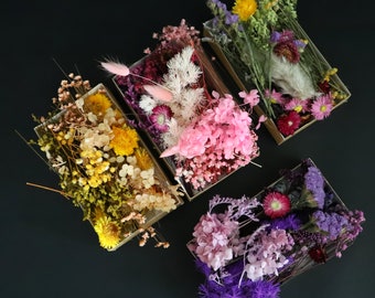 Trockenblumen Set - für kleine Sträuße - in verschiedenen Farben: pink, lila, natur, gelb
