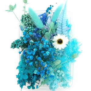 May include: A collection of assorted dried and preserved flowers in various shades of blue, turquoise, and teal, including baby's breath, fern leaves, thistle, and bunny tails, arranged in a clear rectangular plastic container with one white daisy.