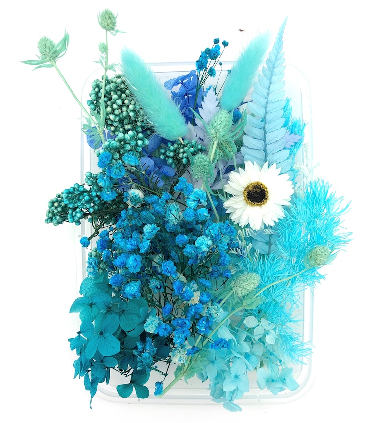 May include: A collection of assorted dried and preserved flowers in various shades of blue, turquoise, and teal, including baby's breath, fern leaves, thistle, and bunny tails, arranged in a clear rectangular plastic container with one white daisy.