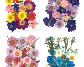 Getrocknete Blumen Set Zusammenstellung für Kunstharz, UV Harz, Gießharz & Expoxidharz oder als Geschenk