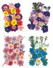 Getrocknete Blumen Set Zusammenstellung für Kunstharz, UV Harz, Gießharz & Expoxidharz oder als Geschenk 