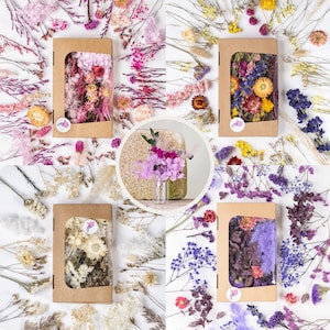 Getrocknete BlumenWeiß, Rosa, Lila, Natur, Pink zum Basteln - Trockenblumen als Deko - wahlweise als komplettes Set & mit Mini-Bouquet