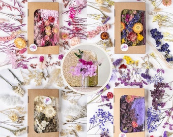 Getrocknete BlumenWeiß, Rosa, Lila, Natur, Pink zum Basteln - Trockenblumen als Deko - wahlweise als komplettes Set & mit Mini-Bouquet