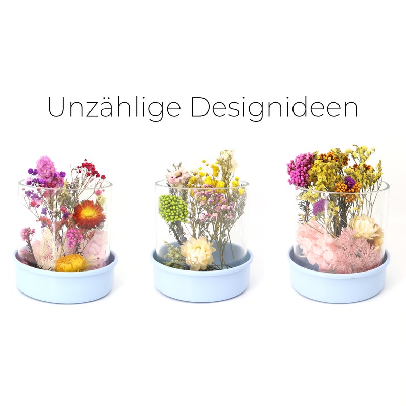 Peut inclure: Trois terrariums en verre remplis de fleurs s&eacute;ch&eacute;es de diff&eacute;rentes couleurs, dont le rose, le jaune et le rouge. Chaque terrarium repose sur une base bleu clair. Le texte "Unz&auml;hlige Designideen" est affich&eacute; au-dessus des terrariums.