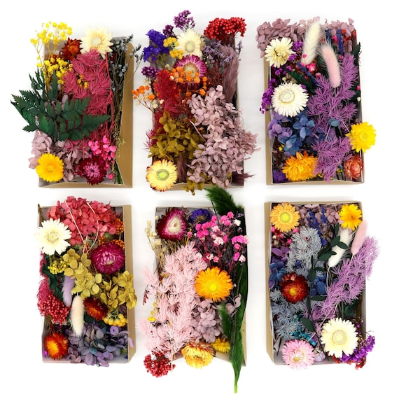 Getrocknete Blumen Zusammenstellung für Kunstharz und UV Harz oder als Geschenk, für Ostern & Muttertag