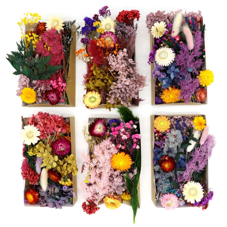 Peut inclure: Six bo&icirc;tes rectangulaires en carton remplies de fleurs s&eacute;ch&eacute;es de diff&eacute;rentes couleurs. Les fleurs comprennent des fleurs jaunes, roses, rouges, violettes et blanches, ainsi que du feuillage vert. Les bo&icirc;tes sont dispos&eacute;es sur une surface blanche.
