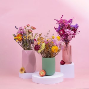 Peut inclure: Trois vases de fleurs s&eacute;ch&eacute;es dans des tons roses, verts et en verre transparent. Les fleurs sont un m&eacute;lange de couleurs, dont le rose, le violet, le jaune et l'orange. Les vases sont pos&eacute;s sur des socles blancs sur fond rose.