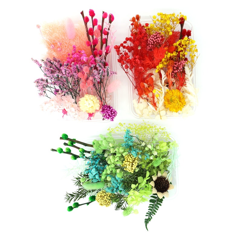 May include: Three clear plastic containers filled with assorted dried and preserved flowers. One container features pink and purple tones, another contains red, orange, and yellow blooms, and the third holds green and blue floral stems.