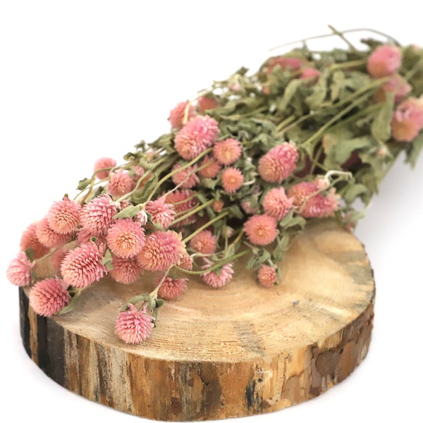Getrockneter Klee - Trockenblumen in rosa - Natürliche Boho Deko & Perfekt für Valentinstag, Hochzeit und Geburtstag - 60cm Länge