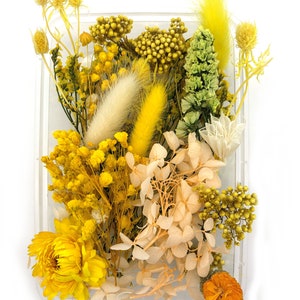 May include: A clear plastic container filled with an assortment of dried and preserved flowers in shades of yellow, cream, and light green. The collection includes fluffy bunny tails, small yellow blossoms, hydrangea petals, and a large yellow flower.