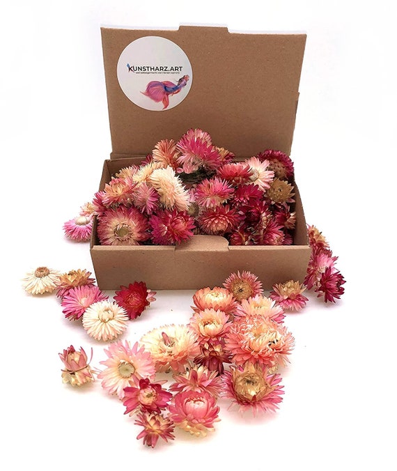 Buy Strohblumen Helichrysum 60 Stück - Blumenköpfe Getrocknet- Osterdeko & Frühlingsdeko Für Ostern Und Muttertag Online in India