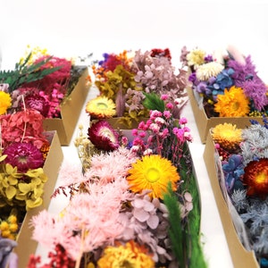Peut inclure: Assortiment de fleurs s&eacute;ch&eacute;es dans des bo&icirc;tes rectangulaires en carton. Les fleurs sont de diff&eacute;rentes couleurs, dont le jaune, le rose, le violet et l'orange. L'arrangement comprend diff&eacute;rents types de fleurs et de feuillages, parfait pour l'artisanat ou la d&eacute;coration.