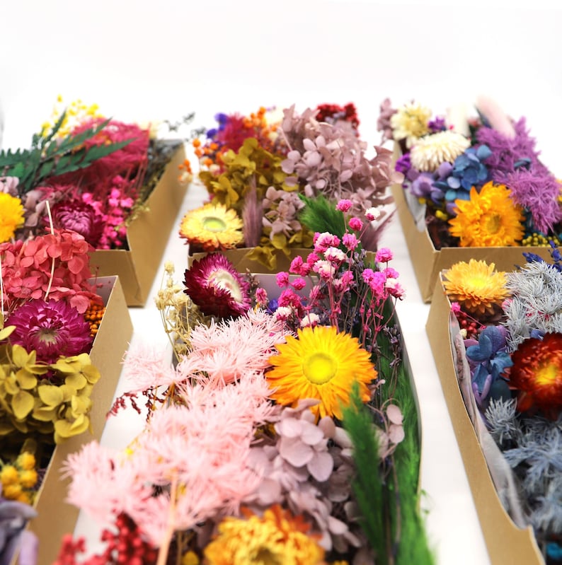 Peut inclure: Assortiment de fleurs s&eacute;ch&eacute;es dans des bo&icirc;tes rectangulaires en carton. Les fleurs sont de diff&eacute;rentes couleurs, dont le jaune, le rose, le violet et l'orange. L'arrangement comprend diff&eacute;rents types de fleurs et de feuillages, parfait pour l'artisanat ou la d&eacute;coration.