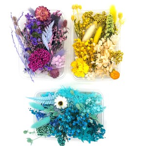 May include: Three clear rectangular plastic containers filled with assorted dried and preserved flowers. One container features purple, pink, and lavender tones. Another contains yellow, cream, and gold hues. The third holds blue and turquoise shades.