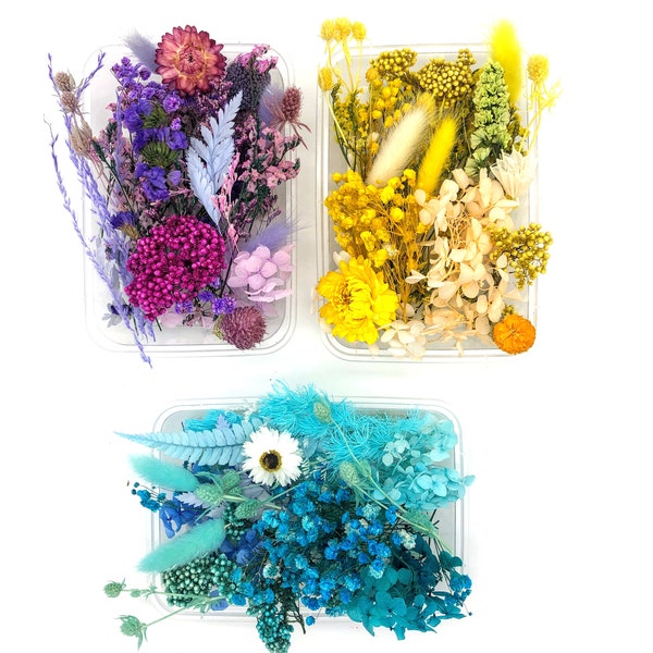 Getrocknete Blumen, Blüten und Blätter, Material für Schmuck basteln (auch mit Resin / Kunstharz) oder als Geschenk