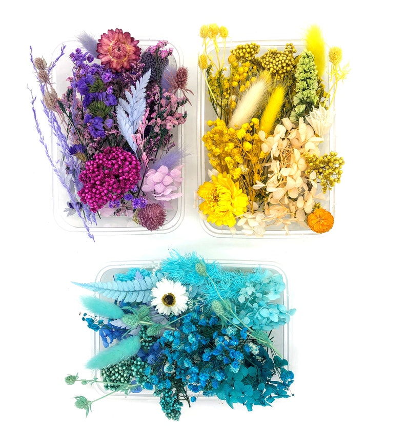 May include: Three clear rectangular plastic containers filled with assorted dried and preserved flowers. One container features purple, pink, and lavender tones. Another contains yellow, cream, and gold hues. The third holds blue and turquoise shades.