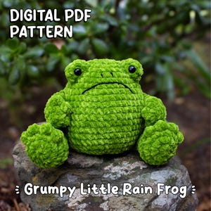 May include: A green crocheted frog with a grumpy expression, sitting on a rock. The frog has black eyes and a stitched mouth. The text "DIGITAL PDF PATTERN" and ": Grumpy Little Rain Frog :" are displayed.