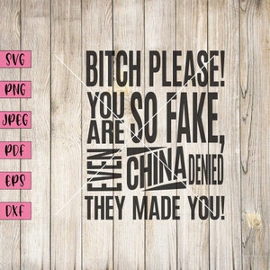Bitch Please..., Custom Bumper Sticker, Inappropriate Stickers, Adult Stickers, Adult Clip Art, Word Clipart, Word Art Pictures, Cricut Svg