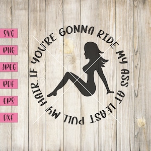 If Your'e Gonna Ride My Ass At least Pull My Hair, Adult Stickers, Funny Adult Svg, Funny Rude Svg, Funny Sticker, Funny Svg, Rude Svg, Png