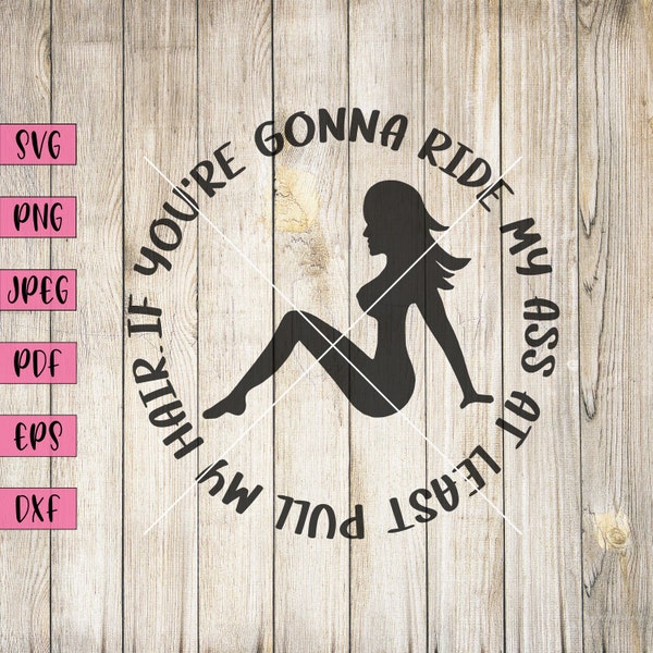 If Your'e Gonna Ride My Ass At least Pull My Hair, Adult Stickers, Funny Adult Svg, Funny Rude Svg, Funny Sticker, Funny Svg, Rude Svg, Png