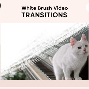 Transitions au pinceau blanc pour les vidéos | Superpositions de transition blanches pour les vidéos Youtube | Montage vidéo