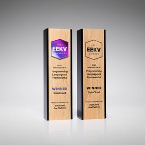 Rectangle wooden trophy, appreciation award, customizable oak prize combined with plexiglass details, unique personalized trophy