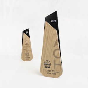 Solid wooden trophy, personalized irregular shape bespoke award for best employee, modern corporate gift for business partner