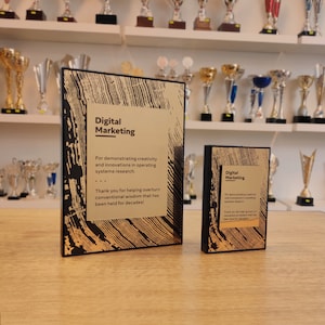 Metal framed appreciation award, personalized plaque for business partner, trophy for the best employee