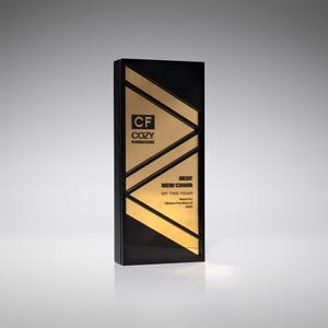 Trofeo de madera contrachapada combinada con dos capas de acrílico cortado a láser decorado con impresión UV, trofeo moderno, premio de reconocimiento
