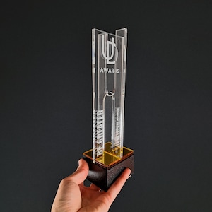Bespoke plexiglass and wooden trophy, recognition acrylic award for business partner, best employee appreciation, corporate award