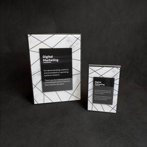 Personalized acrylic and metal framed appreciation award, custom appreciation plaque for business partner, trophy for the best employee