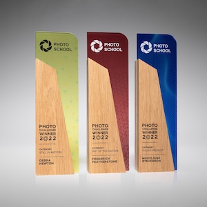 Unique appretiation award, modern wooden trophy, gift for business partner, best employee award, personalized office award