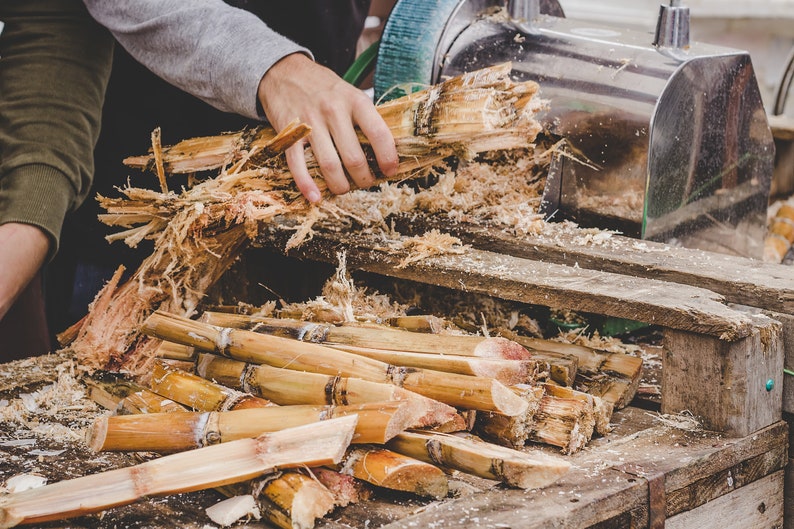 May include: A person is using a sugarcane press to extract juice from sugarcane stalks. The stalks are brown and have been cut into pieces. There are many pieces of sugarcane on the wooden surface.