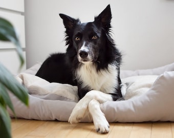 Hond matras hondenkussen 3in1 fluwelen hondenslaapmat hondenmat hondenmand hondenmand bankkussen zacht kussen elastische vulling