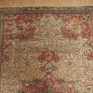Pu&ograve; includere: Un tappeto antico con un intricato disegno floreale nei toni del beige, rosso e marrone. Il tappeto presenta un medaglione centrale e un bordo dettagliato, che mostra un tradizionale stile persiano. Il motivo del tappeto include fiori e viti stilizzate.