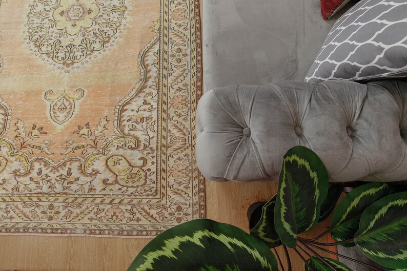 May include: An overhead shot of a living room setting featuring a patterned rug in peach and cream tones, a gray tufted ottoman, and a patterned pillow. A large green plant with striped leaves adds a natural element to the scene.