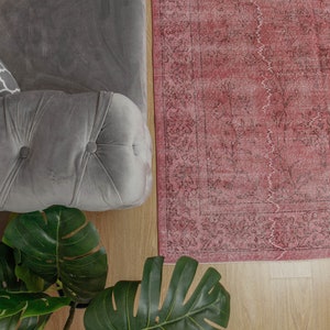 May include: A section of a grey, button-tufted sofa with a patterned cushion, beside a faded red rug with a detailed border. A large-leafed plant is in the foreground, adding a natural element.