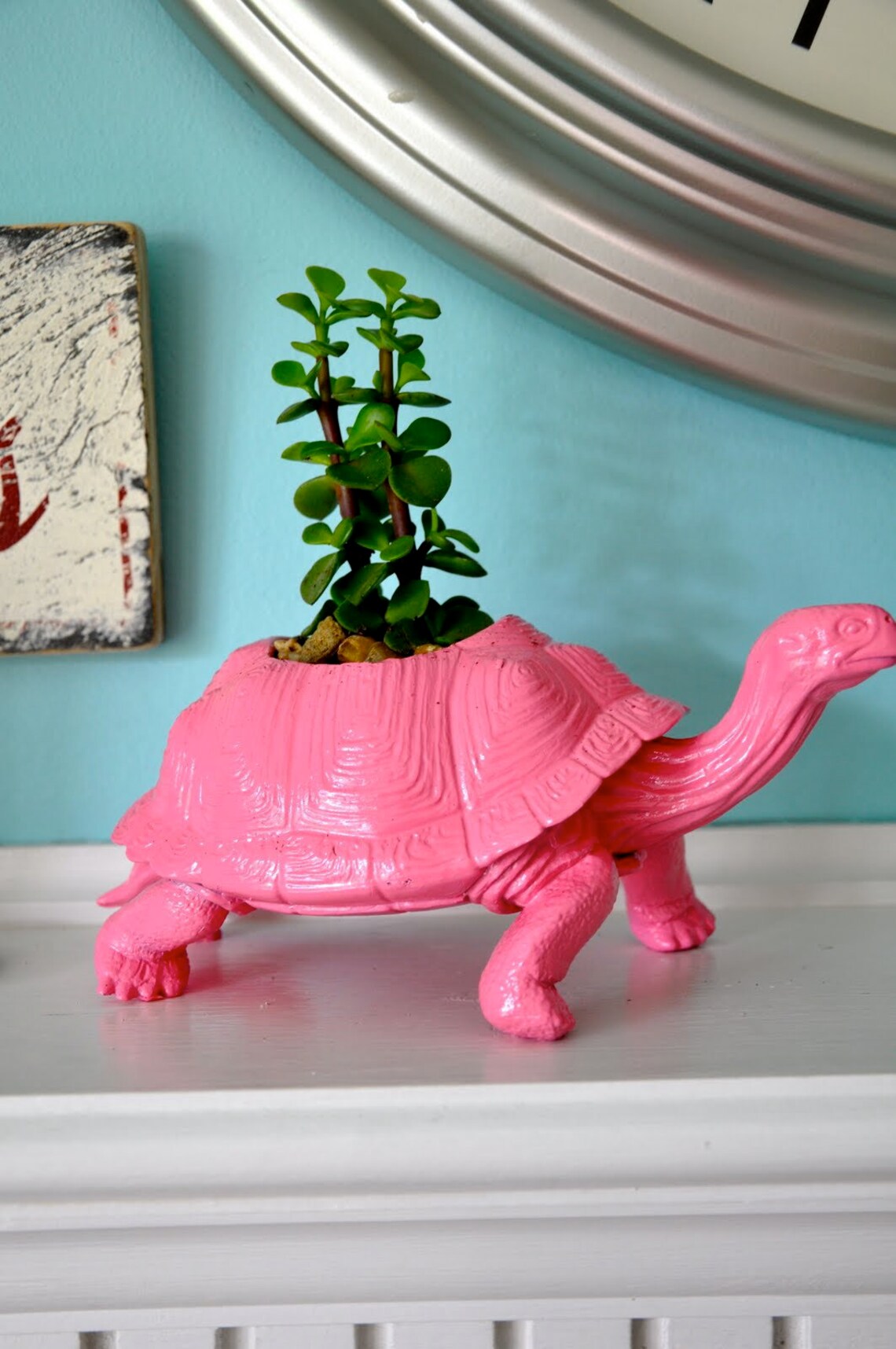 Turtle Planter Succulent Planter Etsy