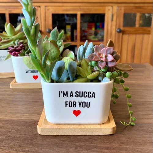 Plant Dad Terracotta Pot Mug Gifts for Him Gifts for Dad Etsy